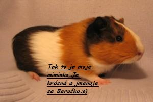 To je moje láska!Je to moje prdelka Beruška je jí 1 rok